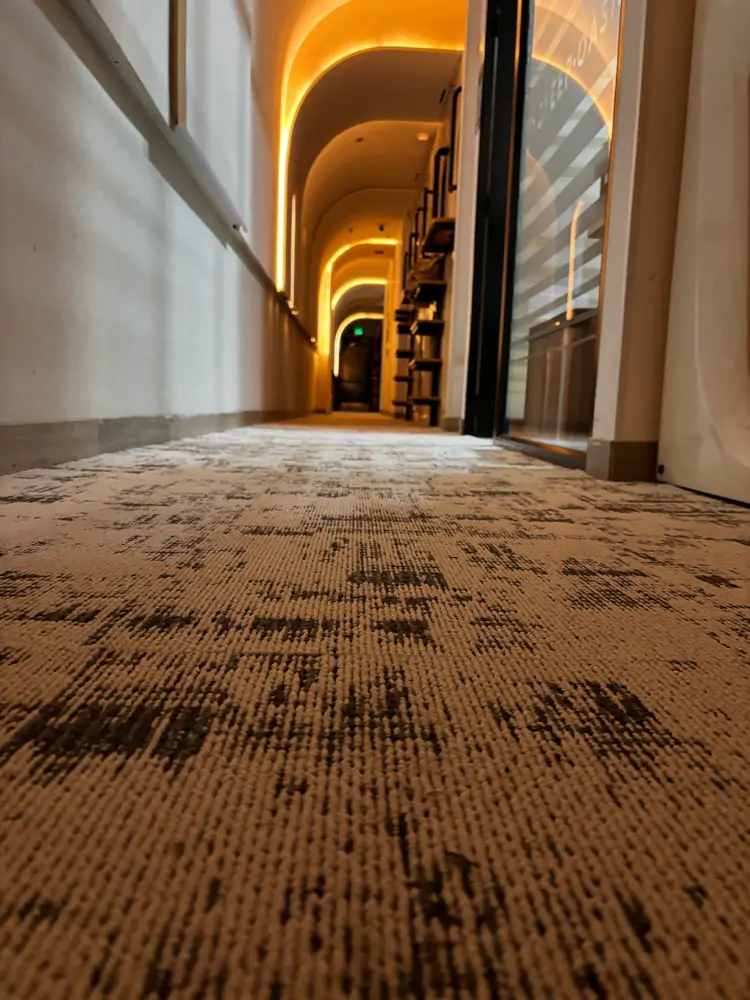 Corredor del Hotel Sleep Oasis con alfombra de diseño
