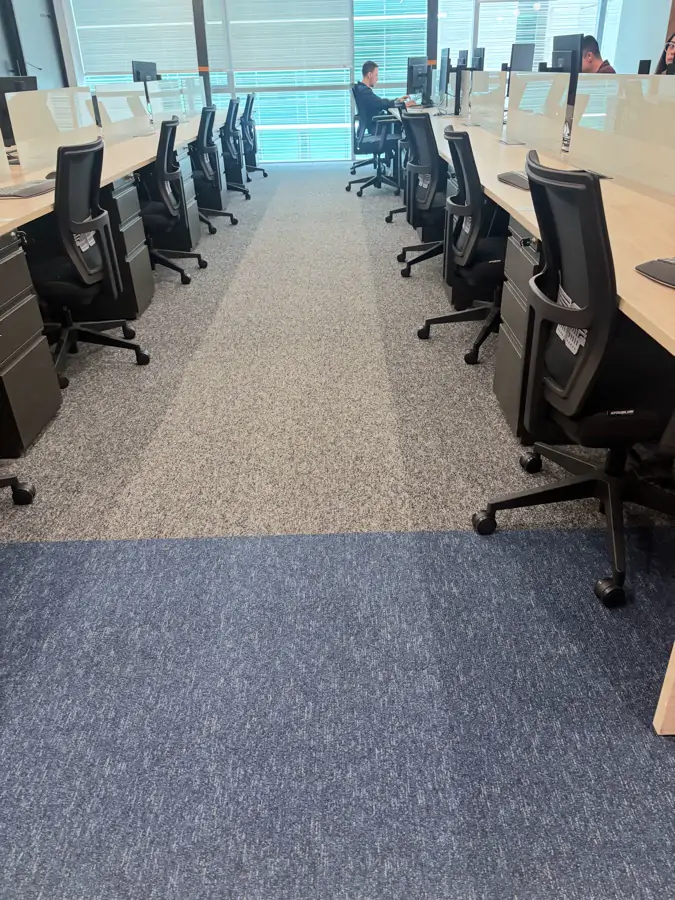 Oficina de Neostella con alfombra azul y piso de madera
